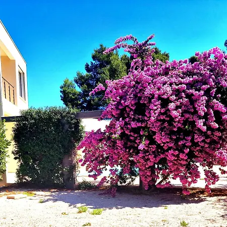 Pensionat La Monarque *
